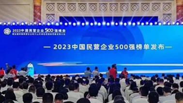 球友会集团位列2023中国民营企业500强第203位、2023中国制造业民营企业500强第139位